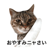 Miiko stamp