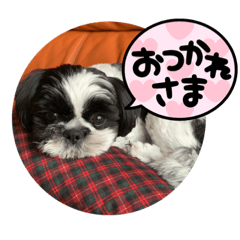 Yuka_20210725151357