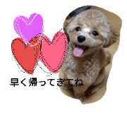 MyREONStamp