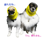 Uta&Ginjiro stamp
