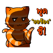 Get some Meow [Thai]