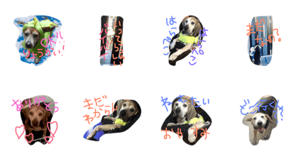kawanishi:hiro