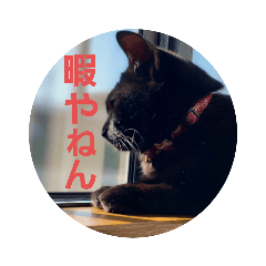 MIKI_20210725160936