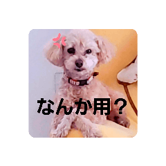 Kuu_20210725162052
