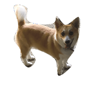 KOGICHI2