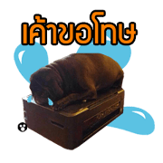 Rapunsel