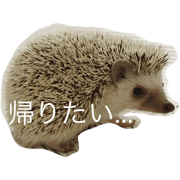 life stamp animal