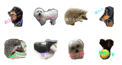 life stamp animal