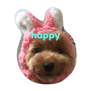 I am happy2.