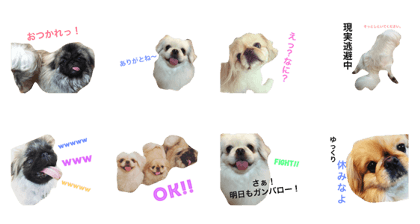Bem Thin Pon