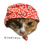 HanaYume2