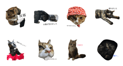 HanaYume2