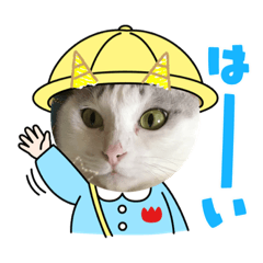miki_20210725150206