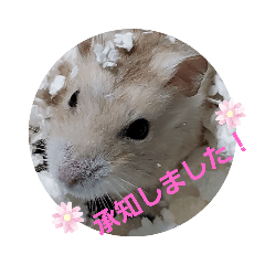 nozomi_20210725203156