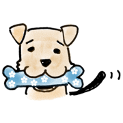 Welsh Terrier, named KING