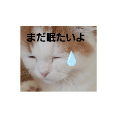 夏がやってきたねぇ