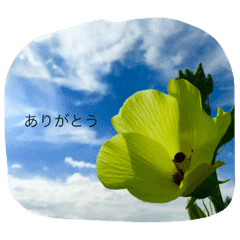 風景写真で伝えてみる Line スタンプ Line Store 風景写真で伝えてみる Line スタンプ Line Store