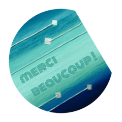 merci beaucoup!