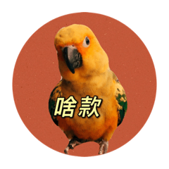 HanHan&Bird_20210725235337