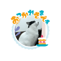 miki_20210726125629