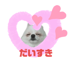 akiko_20210725234531