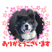 nozom_20210726141540