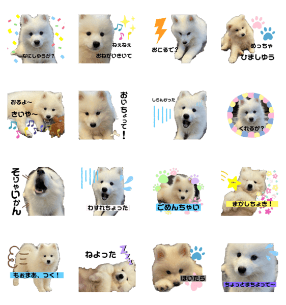 サモエドのエド 土佐弁 Lineクリエイターズスタンプ Stamplist サモエドのエド 土佐弁 Lineクリエイターズスタンプ Stamplist
