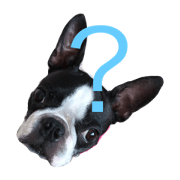 Basil&Tirol Basil&Tirol