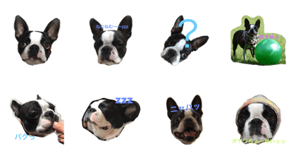 Basil&Tirol Basil&Tirol