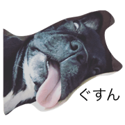 Frenchbulldog!nasubi! Frenchbulldog!nasubi!