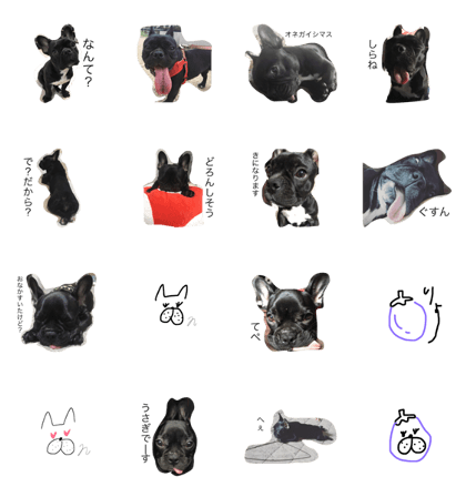 Frenchbulldog!nasubi! Frenchbulldog!nasubi!