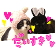 Rice ball&Sesame Rice ball&Sesame