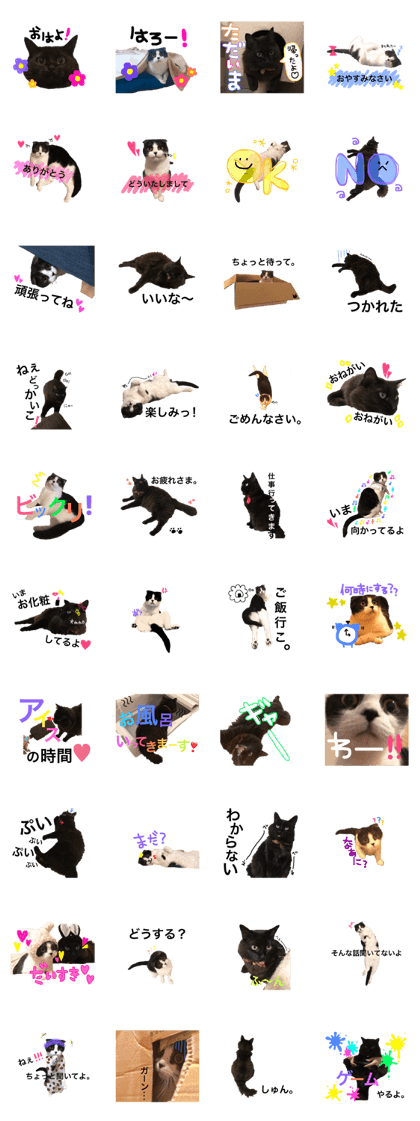 Rice ball&Sesame Rice ball&Sesame