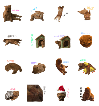 cawaii NEco cawaii NEco