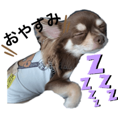 mizuki_20210726171425