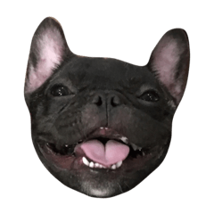 Jacob_theunderbite