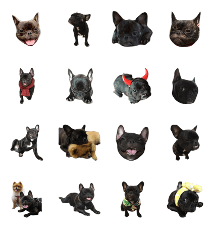 Jacob_theunderbite Jacob_theunderbite