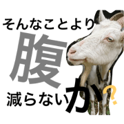 yaginomokkun yaginomokkun