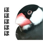 super super super super javasparrow super super super super javasparrow