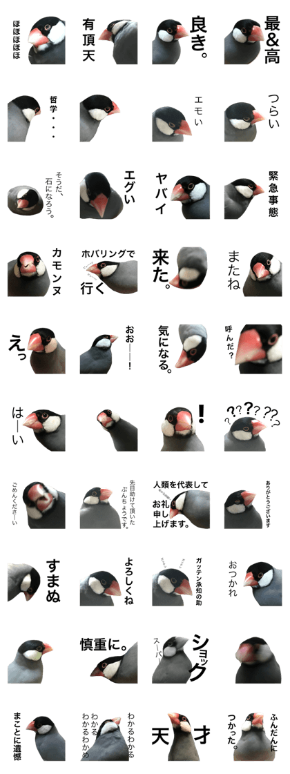 super super super super javasparrow super super super super javasparrow