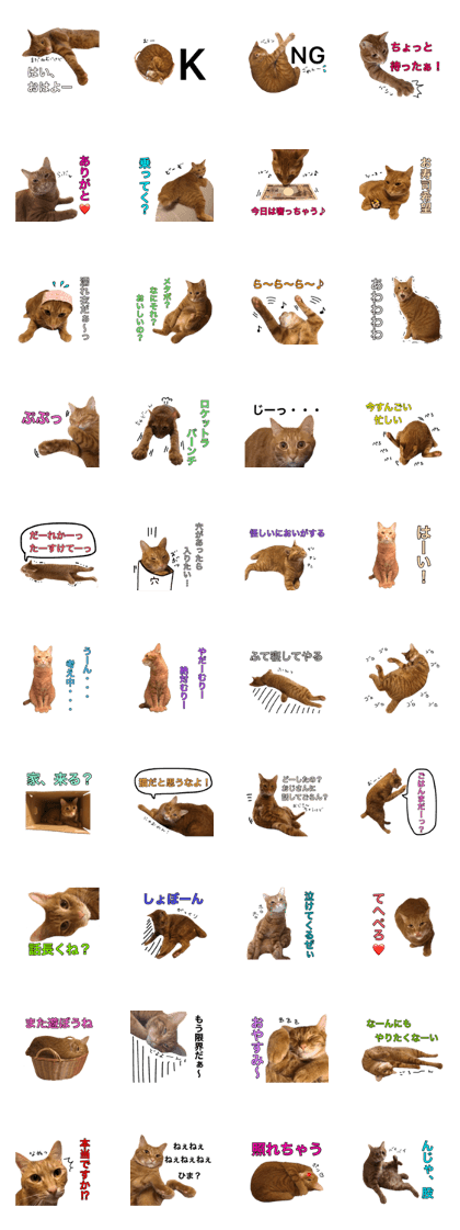 THE TORASUKE THE TORASUKE