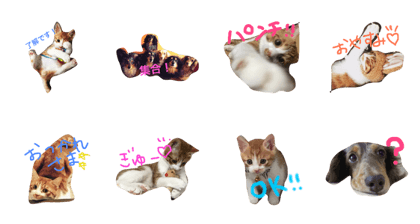 inunecostampy inunecostampy