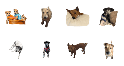 Krapao Hormok Lhong Krapao Hormok Lhong