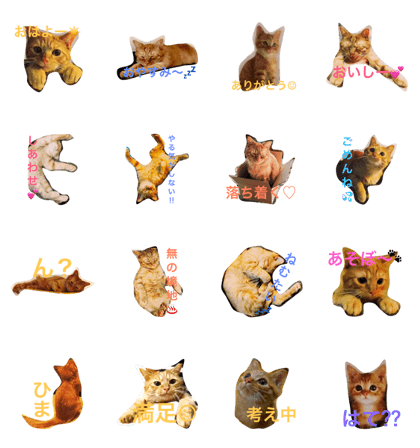 copan neco copan neco