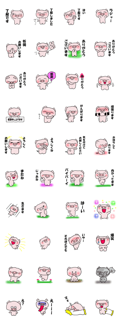 Shabby pig Shabby pig