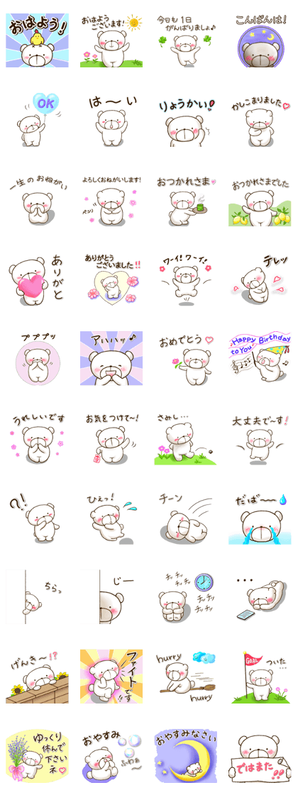 Shy bear/Basic(NEW) Shy bear/Basic(NEW)