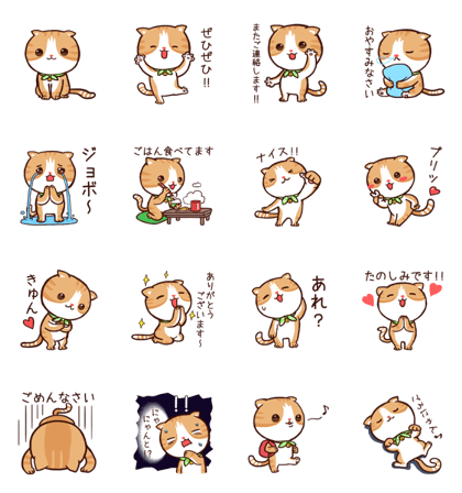 Lovely Scottish Fold Sticker