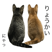 ELLE&COMAME ELLE&COMAME