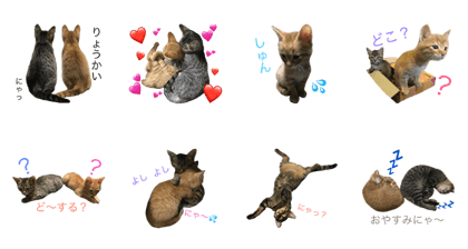 ELLE&COMAME ELLE&COMAME