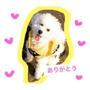 Candy chan life Candy chan life